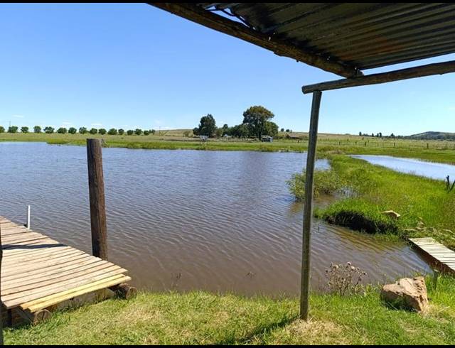 FARM FOR SALE IN KLIPVIEW
